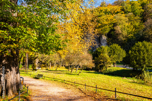 Alley in park with colorful tree leaves in autumn fall landscape of Ojcow National Park, Poland
