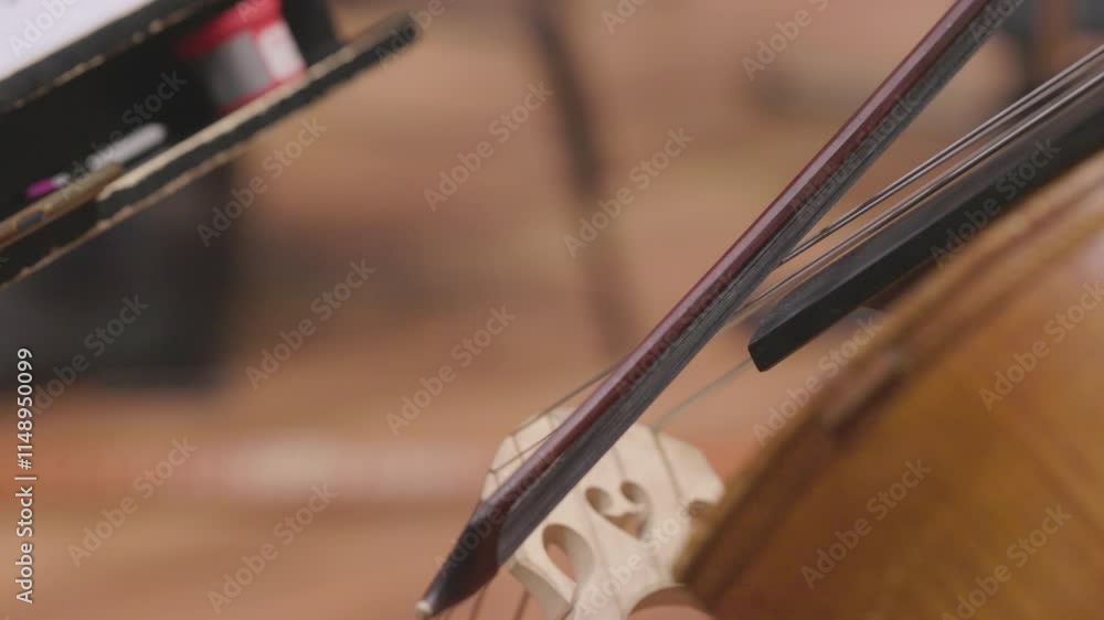 A musician is playing an acoustic double bass during a classical symphony orchestra rehearsal. Nr.3 A musician is playing an acoustic double bass during a classical symphony orchestra rehearsal. Nr.3