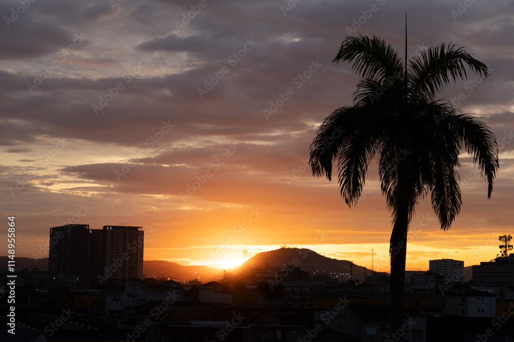 sunset sunrise over the city with buildings and palmtree