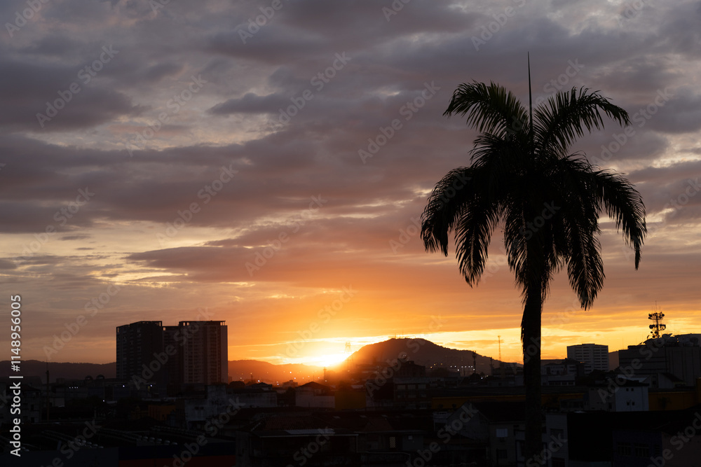 orange sunset over the city with buildings and palmtree orange sunset over the city with buildings and palmtree