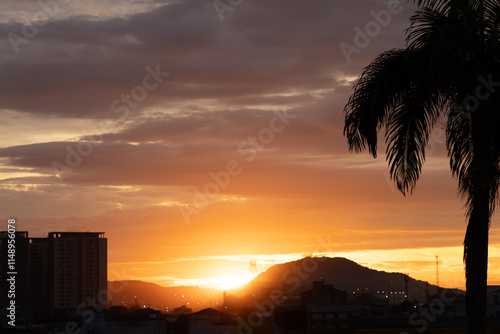 orange sky sunrise over the city with buildings and palmtree