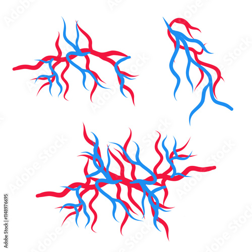 Human blood veins and arteries capillaries bloodstream