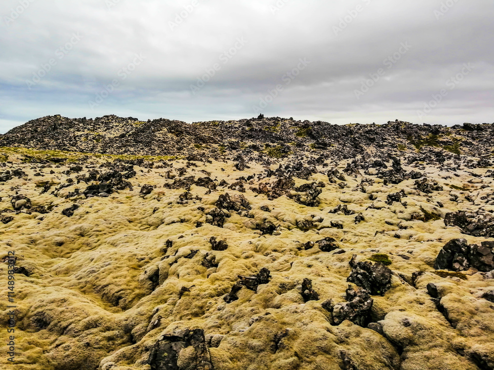 Obraz premium Moss fields, Snaefellsnes peninsula, western Iceland