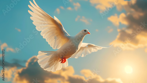 A white pigeon flies in the rays of the sun among the clouds