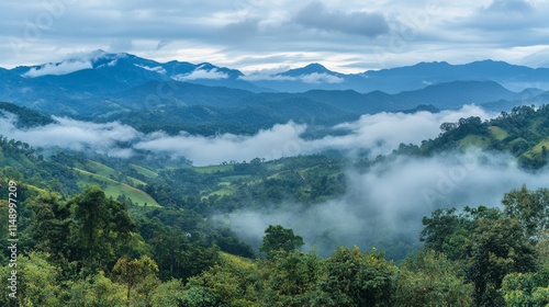 Misty Mountain Landscape with Lush Greenery and Rolling Hills