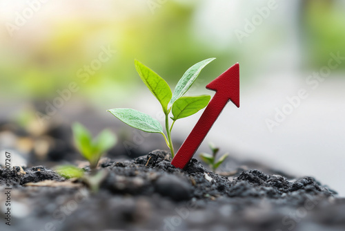 Red arrow showing upward growth, the concept of savings growth, a red arrow showing upward growth on the example of a small plant