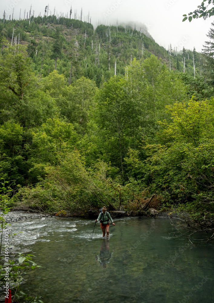 Woman Crosses Tributary of Hoh River in olympic Woman Crosses Tributary of Hoh River in olympic