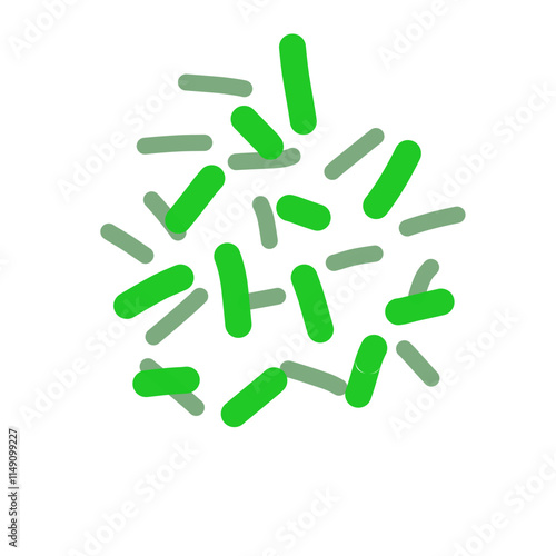 Acidophilus Probiotics 