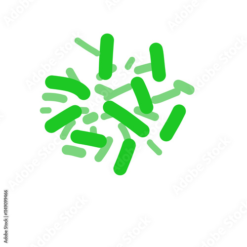 Acidophilus Probiotics 