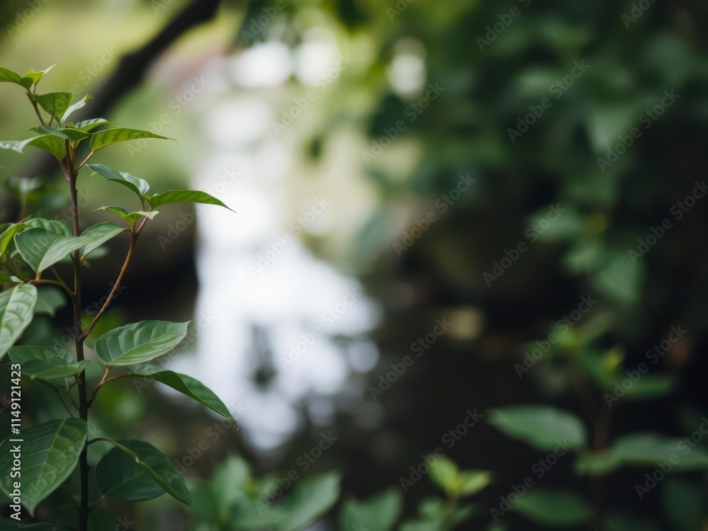 Obraz premium Blurred image featuring a natural background of water and plants, peaceful, environment, leaves