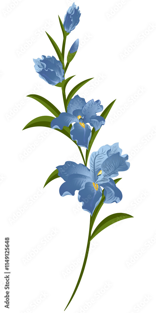 Branch with blue iris flowers, png format Branch with blue iris flowers, png format