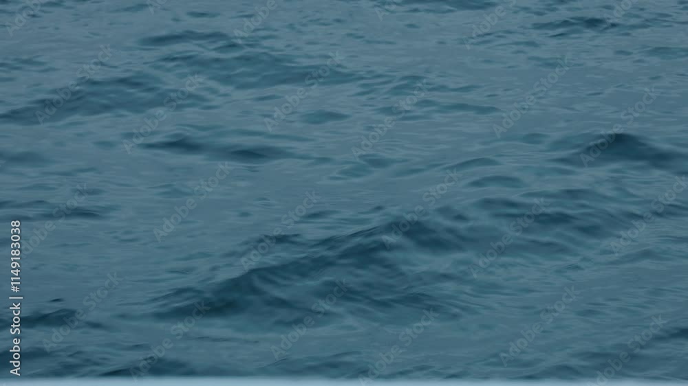 冬の冷たそうな水面 冬の冷たそうな水面