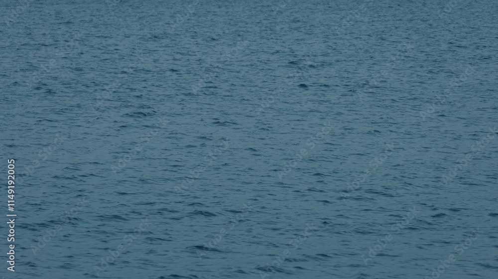 冬の冷たそうな水面 冬の冷たそうな水面
