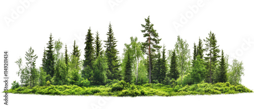 lush green forests isolated transparent background