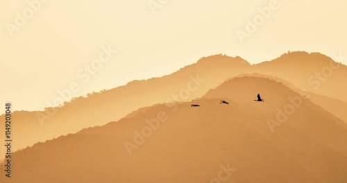 Mountains in the morning with flying birds