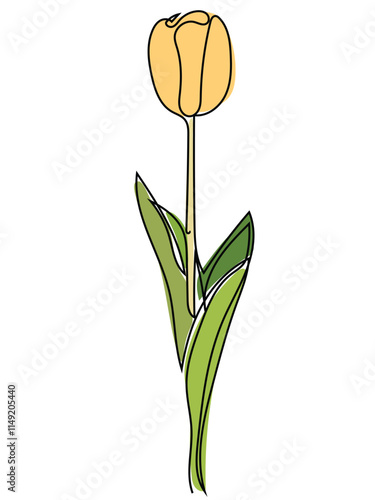 Tulips in continuous line art style and can be edited later