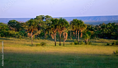 Parque Estadual do Jalapão. Tocantins. photo