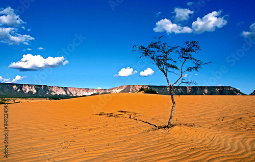 Dunas no Parque Estadual do Jalapão. Tocantins. Brasil photo