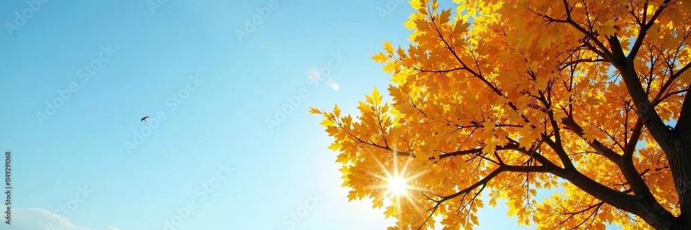 Softly lit golden linden tree against a clear blue autumn sky with warm sunlight filtering through, soft glow, deciduous trees, clear blue Softly lit golden linden tree against a clear blue autumn sky with warm sunlight filtering through, soft glow, deciduous trees, clear blue