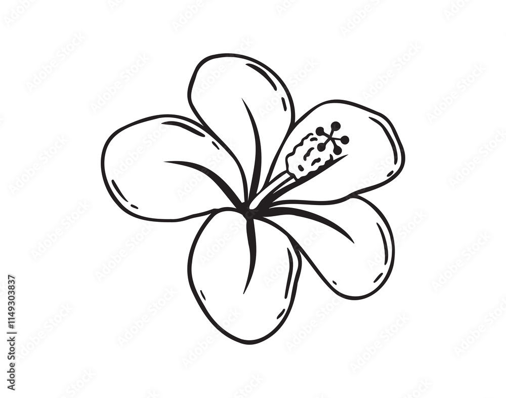 Hand drawn hibiscus flower, chinese rose doodle icon. Hibiscus outline icon, simple vector line clipart drawing, black and white isolated image on a white background. Hand drawn hibiscus flower, chinese rose doodle icon. Hibiscus outline icon, simple vector line clipart drawing, black and white isolated image on a white background.