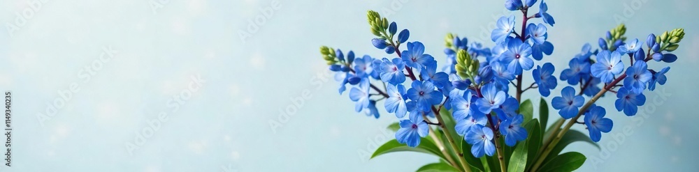 Fototapeta premium Blue chicory stems with leaves and flowers in a vase, arranged artfully for a floral arrangement, flower, arrangement
