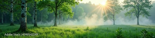 misty morning in the forest with birch trees and lush green grass, forest, serene atmosphere