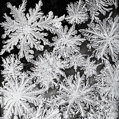 Microimage of snowflakes showing intricate crystalline designs, texture, uniqueness of nature photo