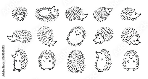 Doodle hand drawn cute hedgehog set. Hand drawn adorable hedgehog collection. Outline drawing for children.