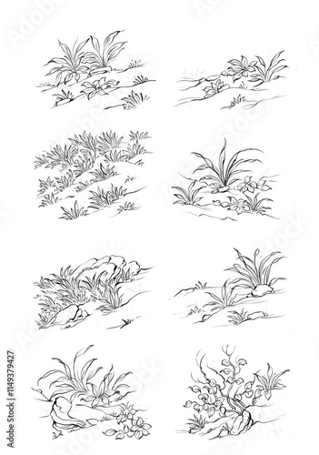 Black silhouettes of grass, flowers and herbs isolated on white background. Hand drawn sketch flowers and insects.