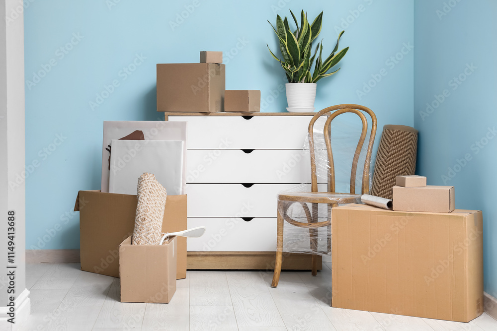 Fototapeta premium Chest of drawers, houseplant and cardboard boxes near blue wall. Moving house concept