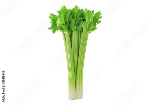 Celery .Transparent background .Isolated PNG