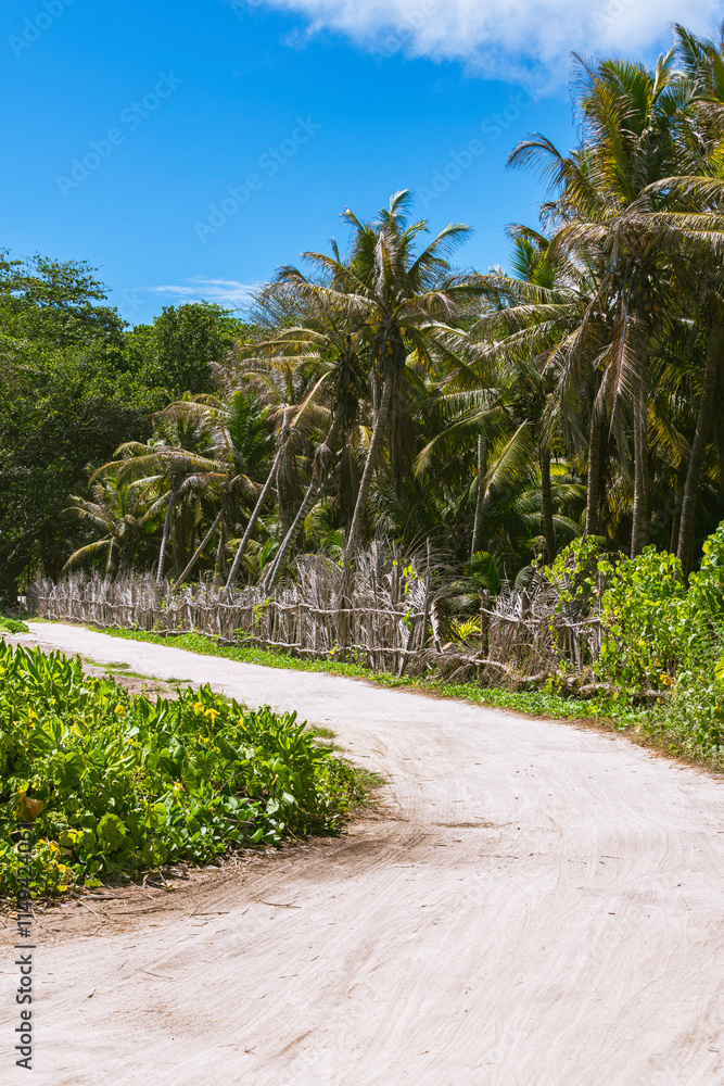 The Road To Grand Anse The Road To Grand Anse