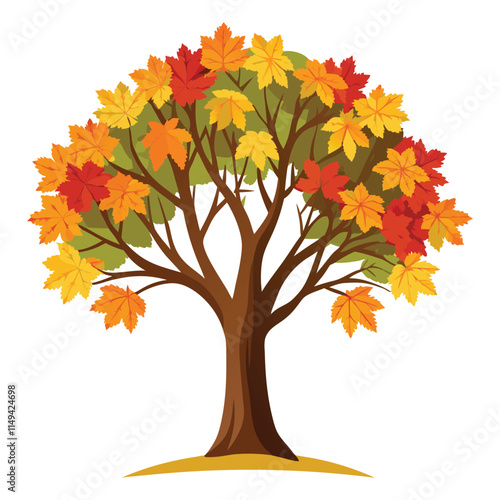 maple tree on white background