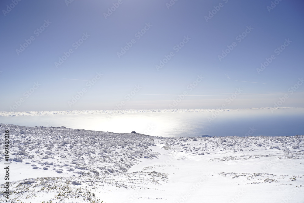 Obraz premium 한라산 영실 눈꽃 설산 어리목