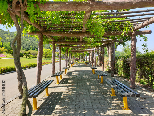 A lightweight and diverse temporary pavilion structure showcasing creative and functional architectural designs.