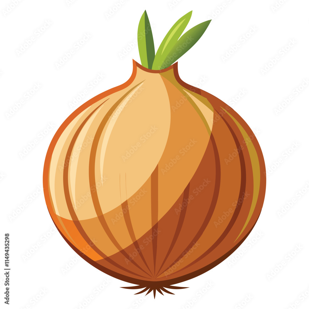 vector onion on white background vector onion on white background