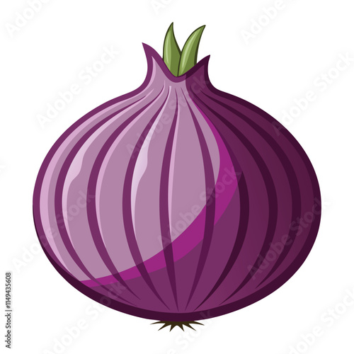 vector onion on white background