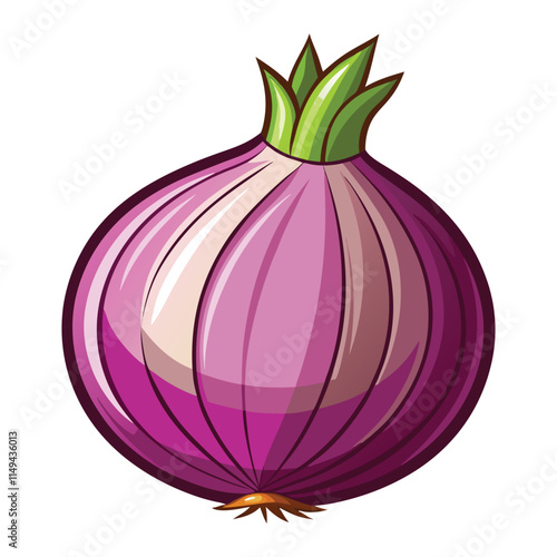 vector onion on white background