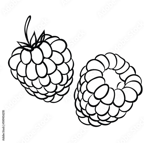 Cute cartoon hand drawn vector Raspberry red berry fruit coloring page..