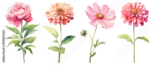 Watercolor flower illustration png cut out element set, transparent background