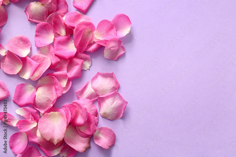 Fototapeta premium Beautiful pink rose petals on purple background