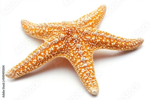 Orange Starfish Isolated on White Background