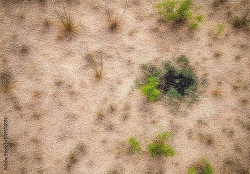 Aerial View of Dry Grassland with Green Patches