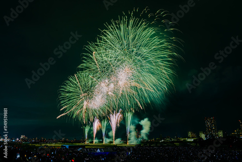 Edogawa Fireworks Festival 2025, Tokyo photo