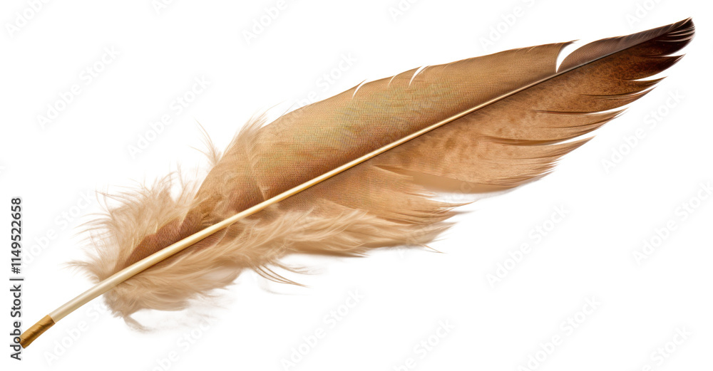 PNG Feather white background lightweight accessories. PNG Feather white background lightweight accessories.