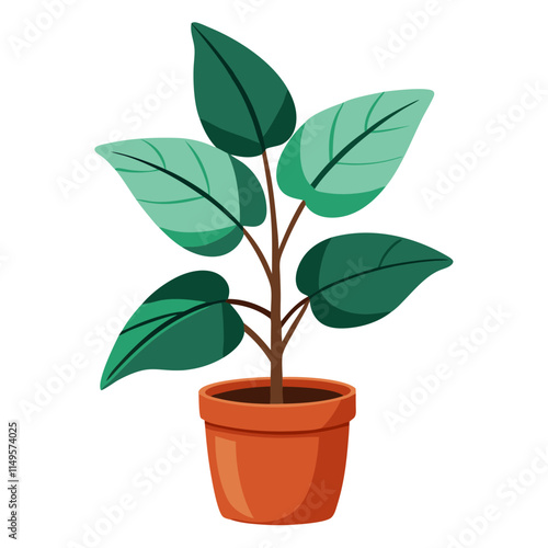 Potted rubber plant with vibrant green leaves on a clean white background creating a serene indoor atmosphere