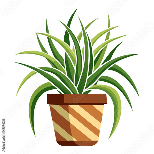 Potted spider plant with green leaves against a white background for home decoration and indoor gardening inspiration