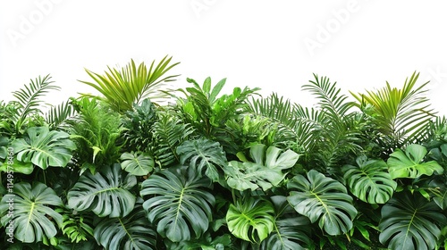 Exquisite Cut-Out of Lush Green Tropical Plants Bush, Capturing the Essence of a Verdant Paradise with Vibrant Foliage.