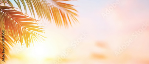 relaxing summer themed background with glowing sun and palm leaves