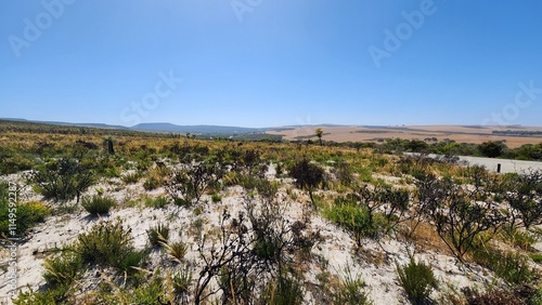 Lesueur National Park, Jurien Bay in Western Australia photo